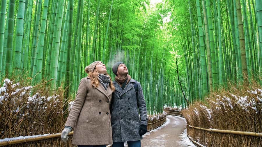 Kyoto: Arashiyama Unveiled Bamboo, Temple, Matcha, & Monkeys - Why This Four-Hour Arashiyama Tour Works