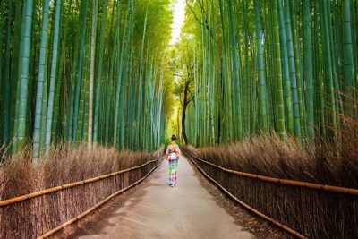 Kyoto Arashiyama Walking Tour: Bamboo, Monkeys, Gardens & Secrets