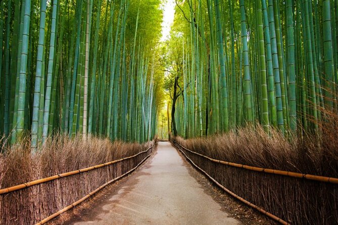 Kyoto Arashiyama Walking Tour: Bamboo, Monkeys, Gardens & Secrets - Okochi Sanso Garden: the peaceful pause