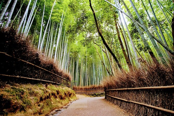 Kyoto Arashiyama Walking Tour: Bamboo, Monkeys, Gardens & Secrets - Togetsukyo Bridge and the Hozu River view