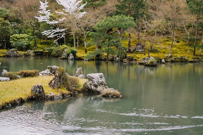 Kyoto Arashiyama Walking Tour: Bamboo, Monkeys, Gardens & Secrets - The Monkey Park hike is the day’s real test