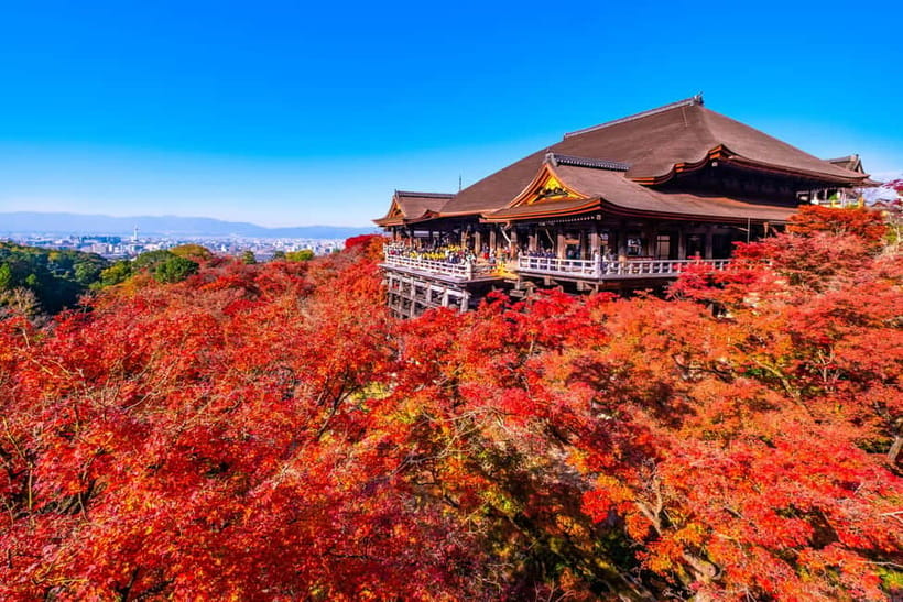 Kyoto: Full-Day English Guided Tour of Kyoto's Highlights - The coach ride and why it matters