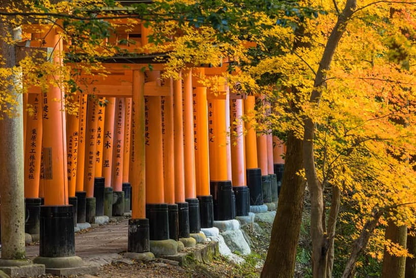 Kyoto: Full-Day English Guided Tour of Kyoto's Highlights - Lunch, tickets, and the $88 value
