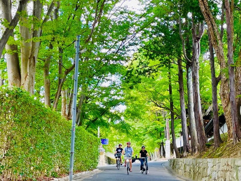 Kyoto: Fushimi Inari Shrine and Tofukuji Temple E-Bike Tour - Fushimi Inari Shrine and its thousands of torii