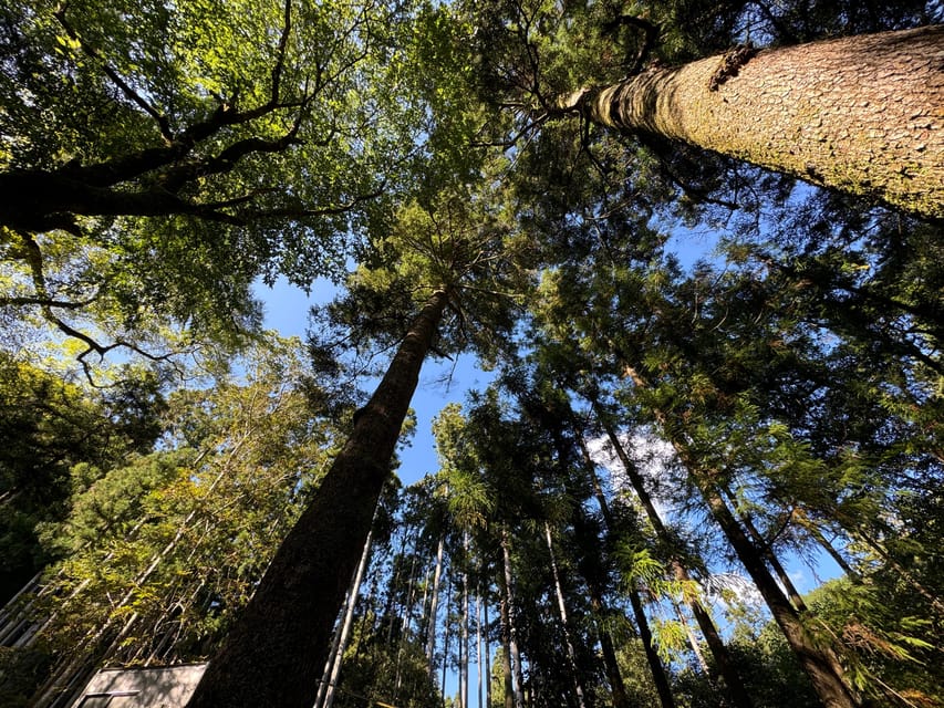 Kyoto: Kifune Shrine and the Sacred Kifune Valley Day Trip - Nakamiya, the middle shrine, adds a quieter second act
