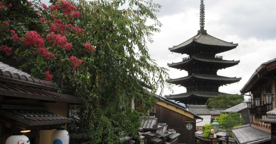 KYOTO-NARA: Giant Buddha Deer Pagoda "Geisya" (Italian, full day) - What the $176 price includes