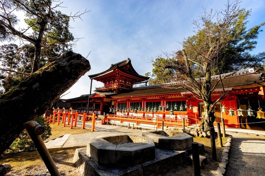 Kyoto: Nara, Todaiji, Kasuga Taisha Shrine Private Full Day - Key points at a glance