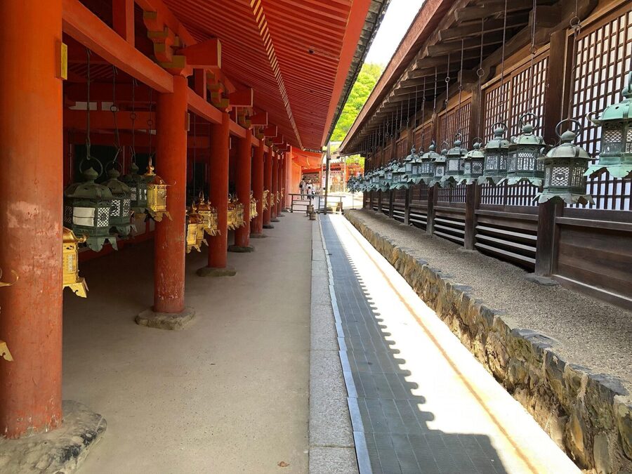 Kyoto: Nara, Todaiji, Kasuga Taisha Shrine Private Full Day - Lunch at Kotoya, with an extra charge