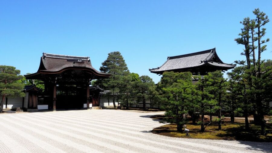 Kyoto: Ninnaji Temple Entry Ticket - The five-story pagoda and Omuro sakura