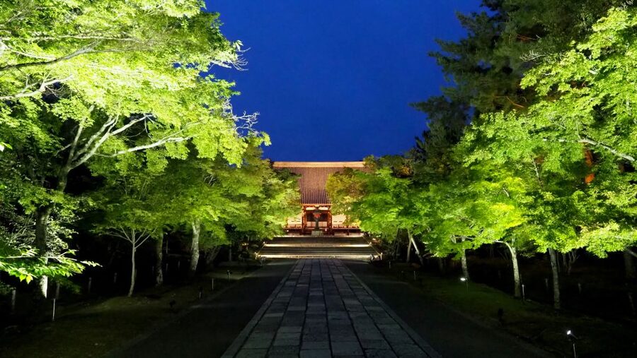 Kyoto: Ninnaji Temple Entry Ticket - Reihokan Museum and the temple’s cultural objects