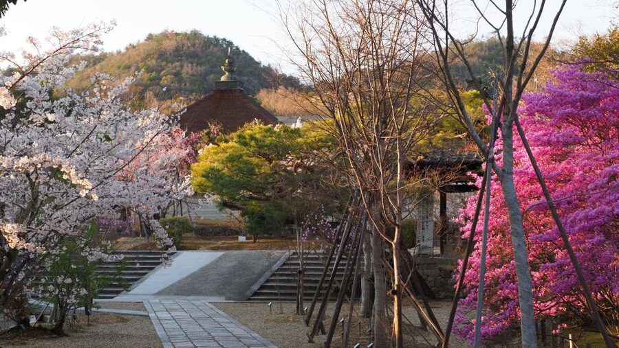 Kyoto: Ninnaji Temple Entry Ticket - Seasonal visits from spring to winter
