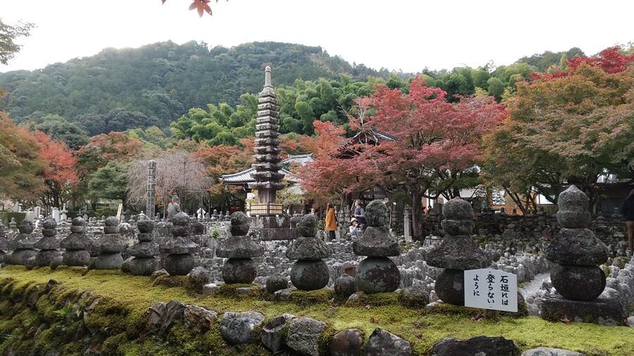Kyoto:Quiet Arashiyama and Sagano Temples - Key points at a glance