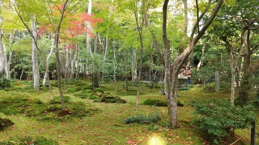 Kyoto:Quiet Arashiyama and Sagano Temples - Adashino Nenbutsuji and the memorial stones