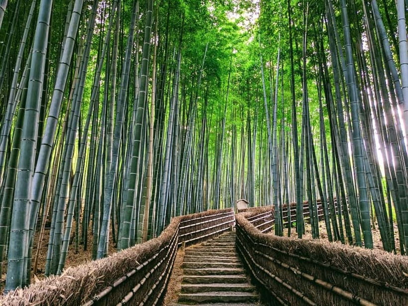 Kyoto:Quiet Arashiyama and Sagano Temples - Saga Toriimoto, where old Kyoto becomes residential