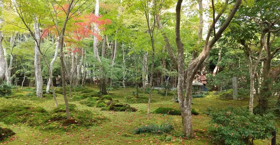 Kyoto:Quiet Arashiyama and Sagano Temples - Meeting Masa at JR Saga-Arashiyama