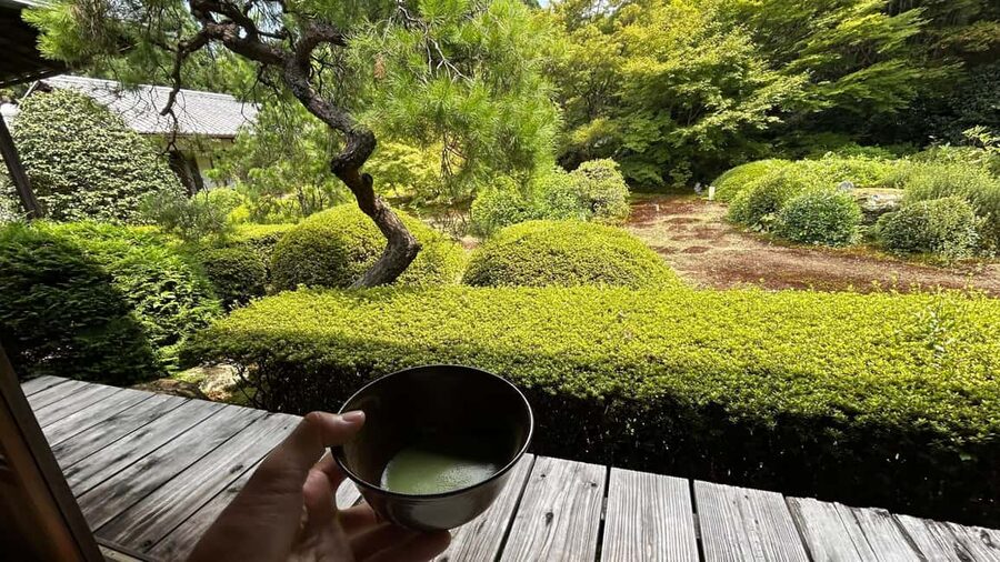 Kyoto: Shakyo & Matcha in Historic Temple Garden - Why this Sennyu-ji visit feels different from a standard temple stop