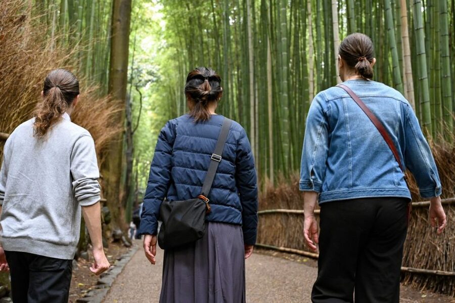 Kyoto to Arashiyama Day Trip - Private & Personalized - What this Arashiyama tour actually offers