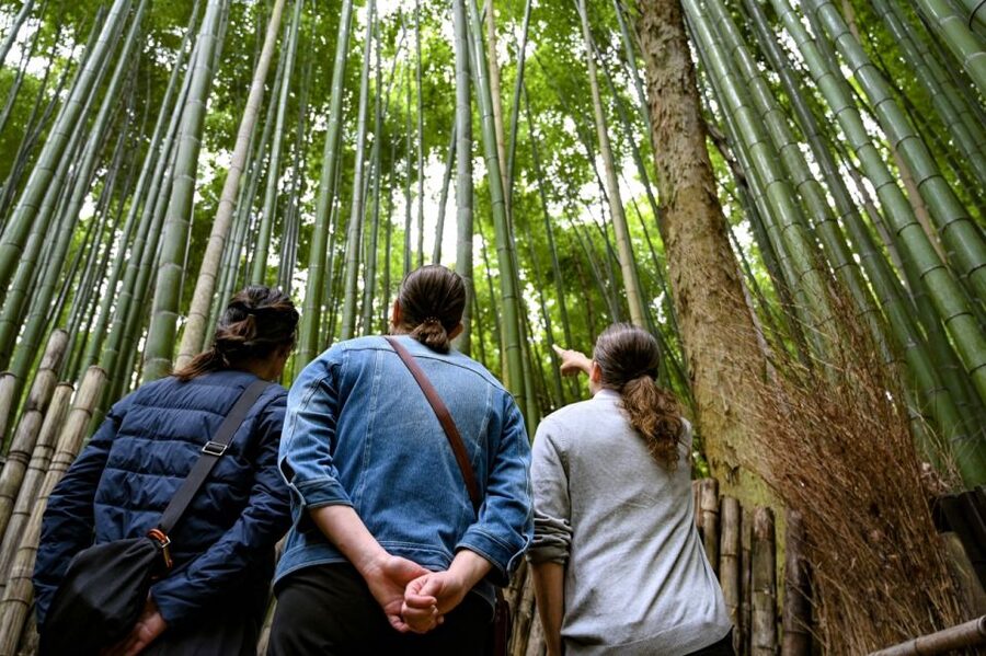 Kyoto to Arashiyama Day Trip - Private & Personalized - Choosing the right four temples