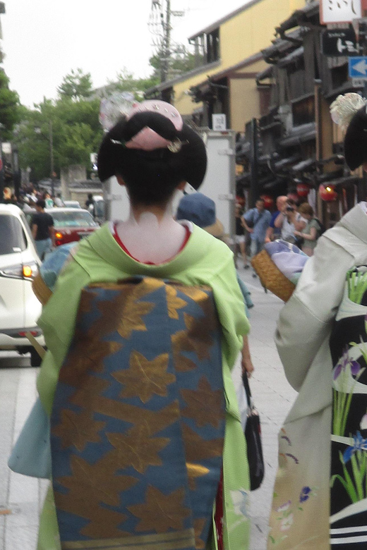 KYOTO: Tour guidato tra i tesori della città (in italiano) - Minami-za and the walk to Pontocho