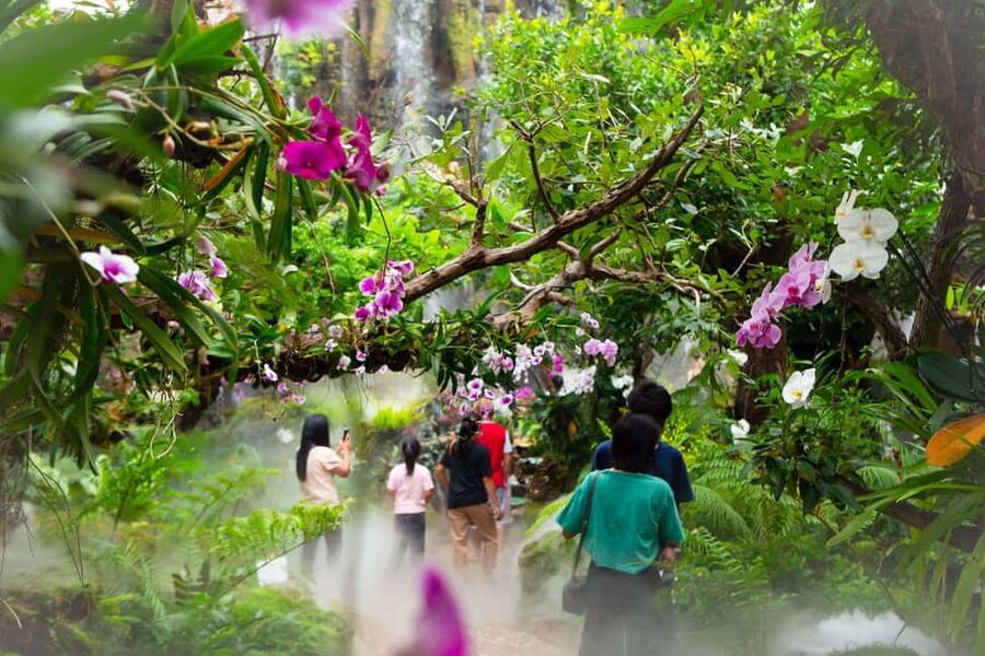 Lalita Cafe & Chiang Rai Temple(White+Blue) from Chiangmai - Lalitta Café: a playful final stop