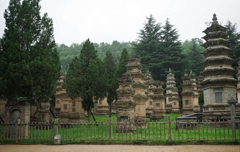 Louyang Day Tour from Xian: Longmen Grottoes, Shaolin Temple - Key Points to Know Before Booking