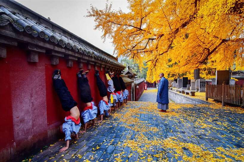 Louyang Day Tour from Xian: Longmen Grottoes, Shaolin Temple - The Early Start at Xian North Railway Station