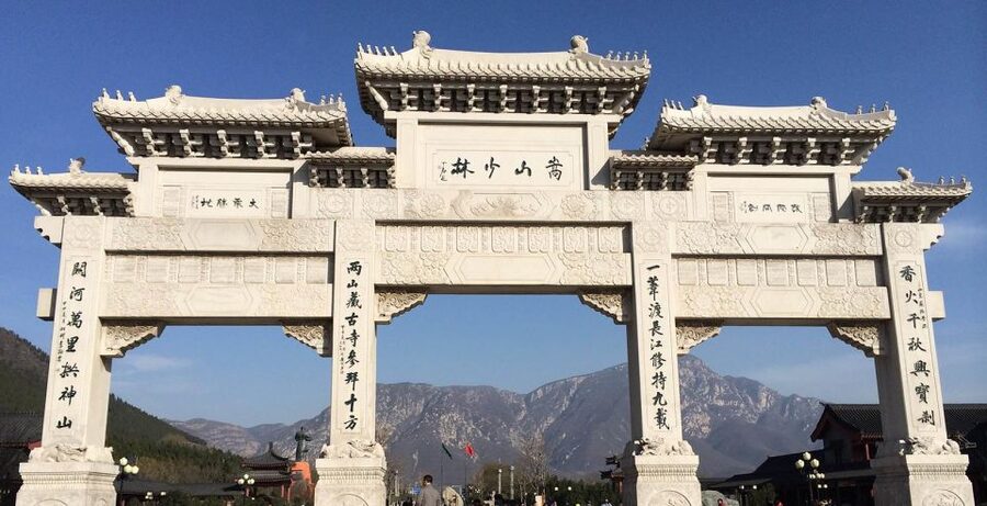 Luoyang Private Day Tour to Shaolin Temple&Longmen Grottoes - The Pagoda Forest and its layers of time