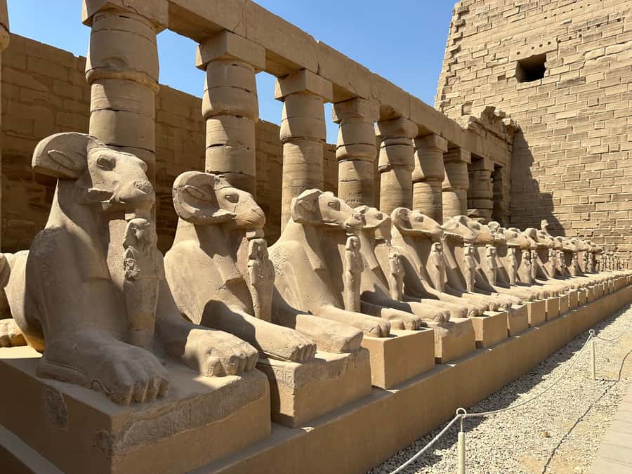 Luxor Half-Day Tour to Explore Karnak and Luxor Temples - Luxor Temple: one hour among royal additions