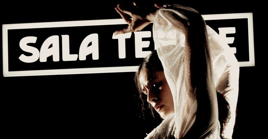 Madrid: Flamenco Show at Tablao Sala Temple with Drink - Why the Small Room Matters