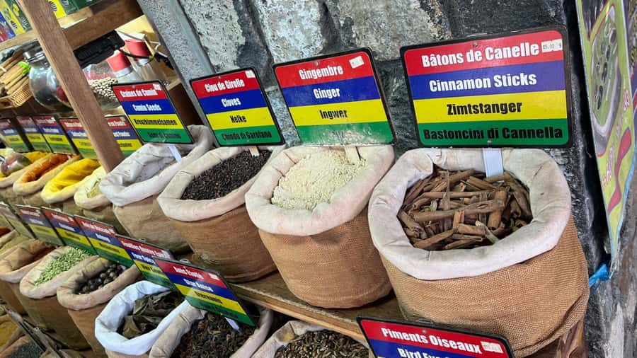 Mauritius: Northern Tour w/Port Louis Market, Temple & Beach - Key Points Before You Book