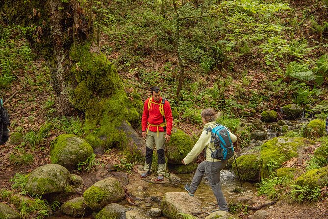 Meteora Small Group Hiking tour with Transfer and Monastery Visit - What the Guides Add to the Experience