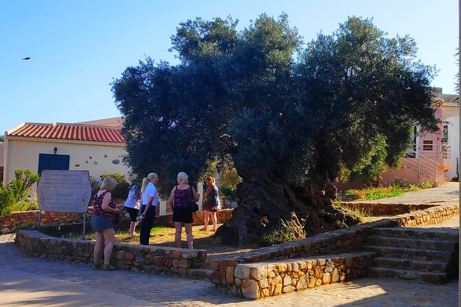 Monastery - Ancient Olive tree & Museum-Cretan Brewery Private Tour from Chania - Seeing Charma beer made in the countryside