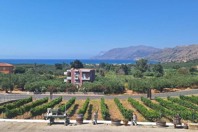 Monastery, Elafonissi and Winery Tour from Chania - The winery stop after the beach