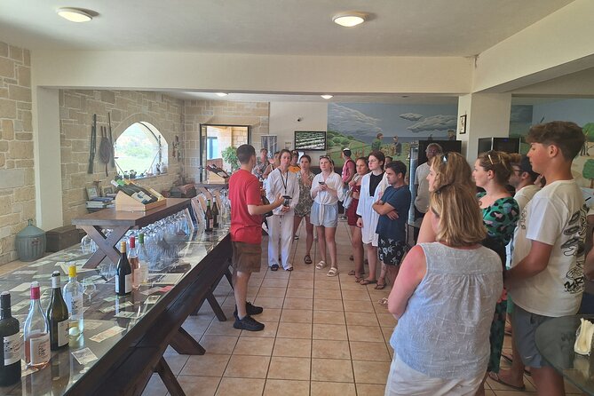 Monastery, Elafonissi and Winery Tour from Chania - Who should book this experience