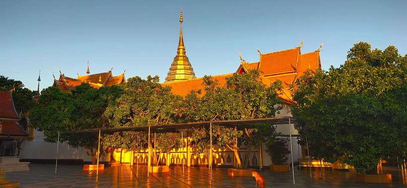Monk trails hike, Wat Phalat, Monk chanting, Wat Doi Suthep. - Wat Pha Lat, the forest temple