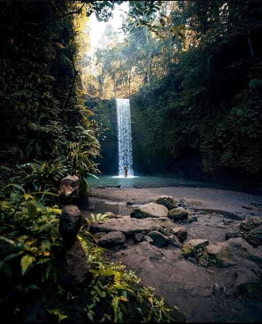 Monkey Forest, Kanto Lampo, Waterfall, Temple & Rice Terrace - Tirta Empul: a working Hindu purification temple