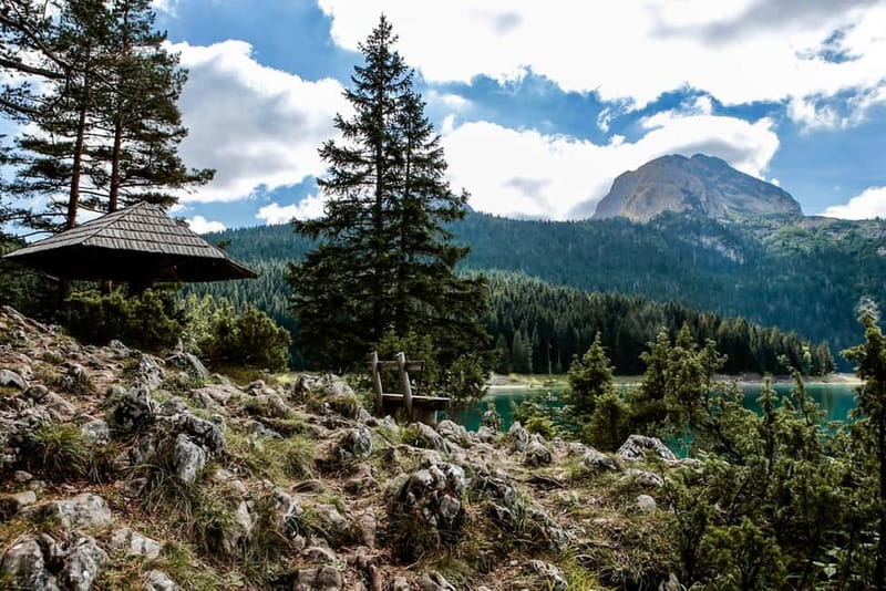 Montenegro: Durmitor, Tara & Ostrog Monastery Day Trip - Boka Bay views at the start