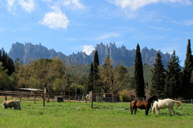 Montserrat Horseback Riding & Monastery – Small Group (Max 8) - A short walk through Montserrat National Park