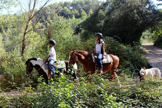 Montserrat Horseback Riding & Monastery – Small Group (Max 8) - What the small group changes