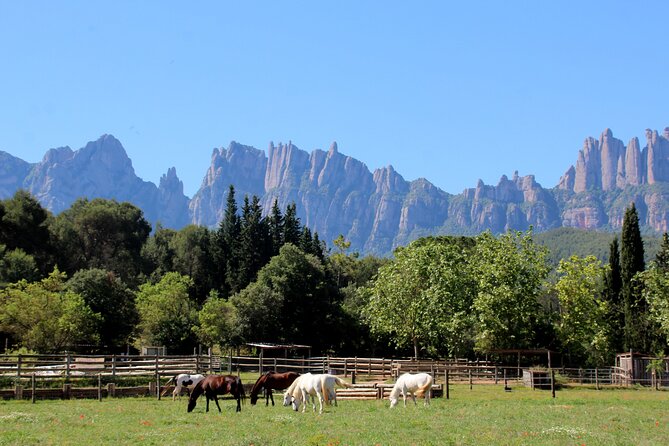 Montserrat Horseback Riding & Monastery – Small Group (Max 8) - Montserrat Abbey and the Basilica of Santa Maria