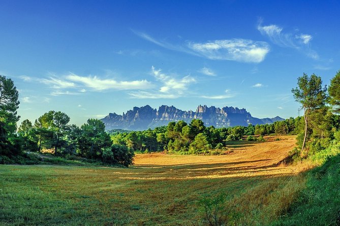 Montserrat Monastery Small Group or Private Tour Hotel pick-up - The mountain walk: short, free, and worth protecting time for