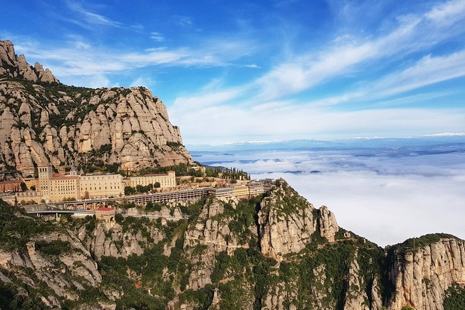 Montserrat Nature Walk, Monastery and Museum from Barcelona - Boxwood, wild boar signs, and mountain wildlife