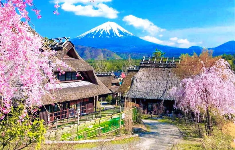 Mt. Fuji Heritage Tour: Traditional Villages, Lakes & Shrine - Why this $50 Fuji day trip can be good value
