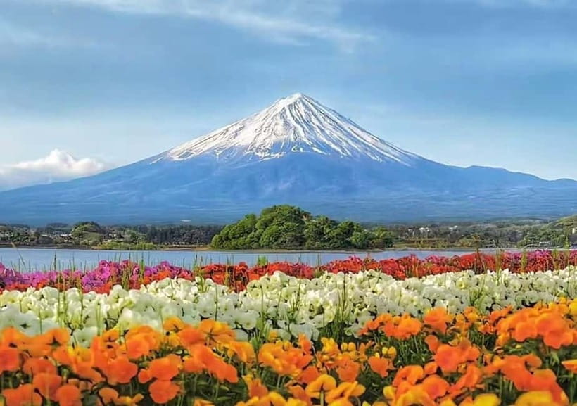 Mt. Fuji Heritage Tour: Traditional Villages, Lakes & Shrine - Arakurayama Sengen Park delivers the famous postcard