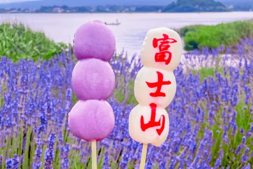 Mt. Fuji Heritage Tour: Traditional Villages, Lakes & Shrine - The bus ride, timing, and lunch require planning
