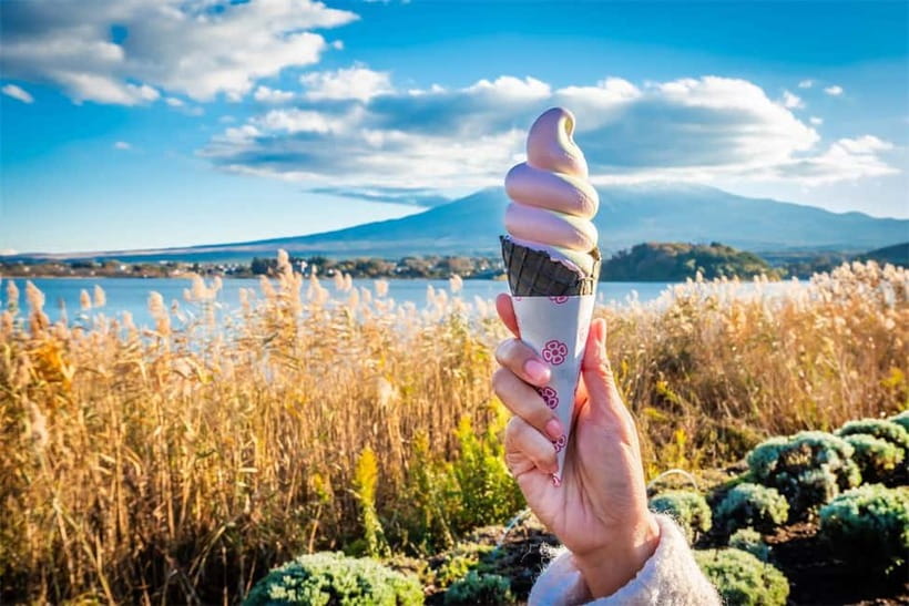Mt. Fuji Heritage Tour: Traditional Villages, Lakes & Shrine - The guides keep this fast-moving day together