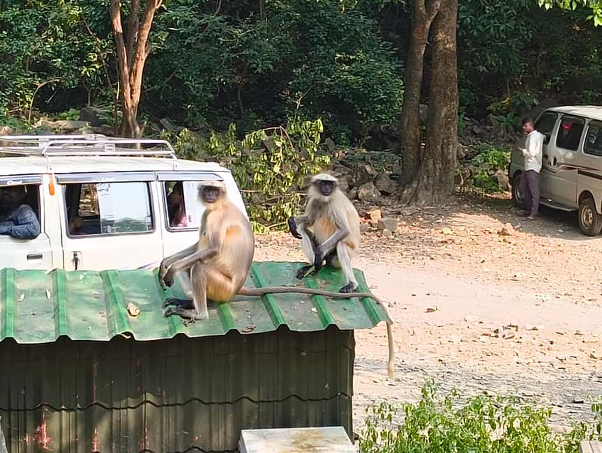 Mumbai Kanheri Caves & Golden Pagoda – A Buddhist Settlement - Is $23 a good value?