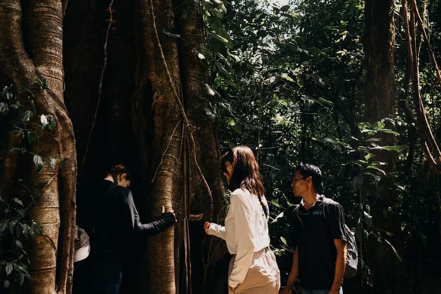 Munduk: Twin Lake Jungle Hike, Ulun Danu Temple, & Waterfall - Key reasons to choose this Munduk experience