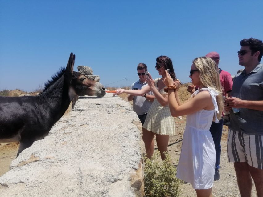 Mykonos: Highlights Tour with Panagia Tourliani Monastery - Agios Ioannis and the island’s southwest side