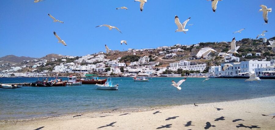 Mykonos: Highlights Tour with Panagia Tourliani Monastery - Pigeon houses, beaches, and the road to Ano Mera